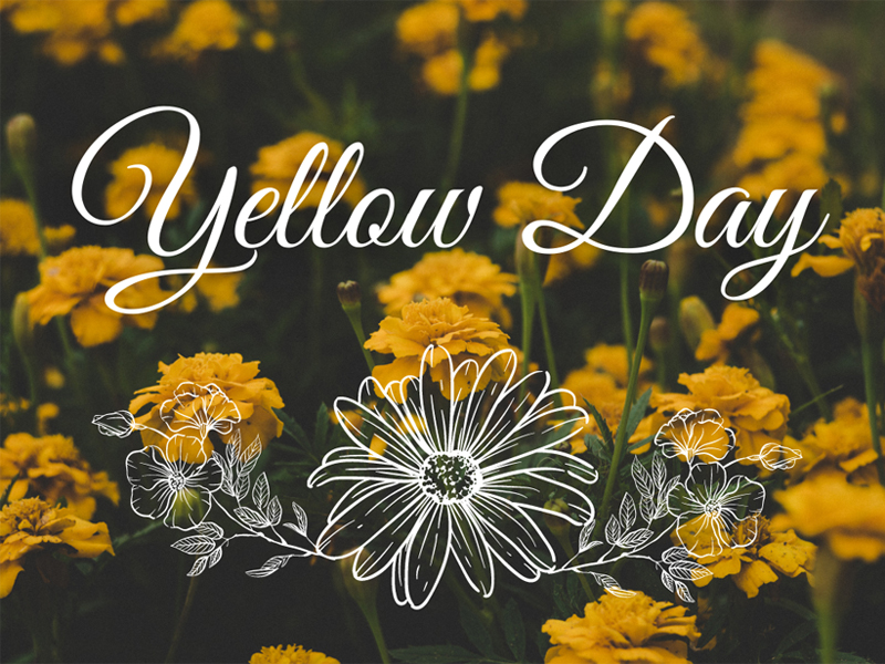 Yellow day cũng được xem là một ngày có ý nghĩa với những người độc thân tại xứ sở kim chi